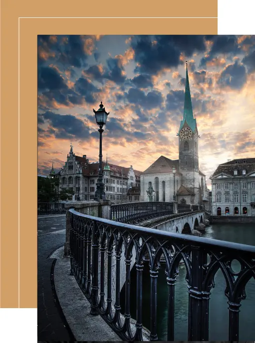 À propos de Chauffeur Suisse